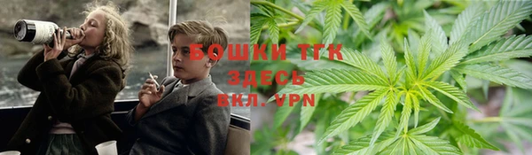 дживик Зеленодольск