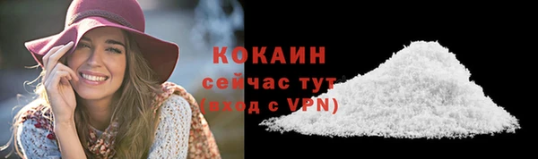 дживик Зеленодольск